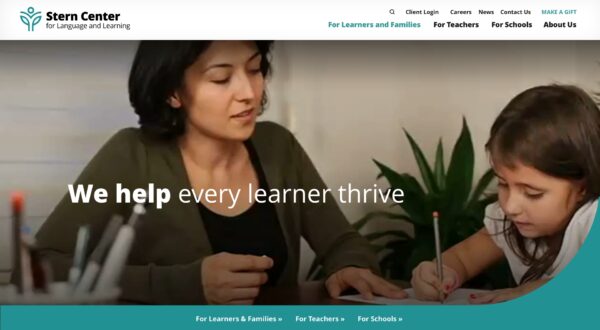 Screenshot of the Stern Center website